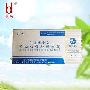快吸（xī）收美容線