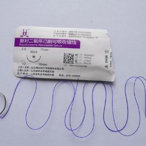 聚對二氧環已酮可吸收縫線